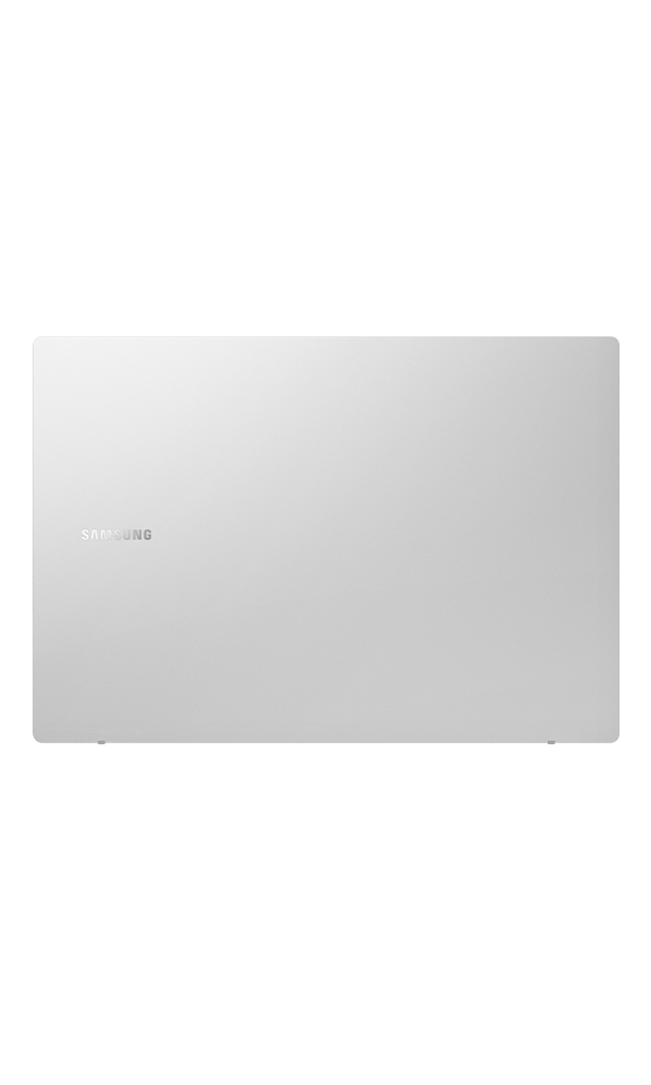 Silver back